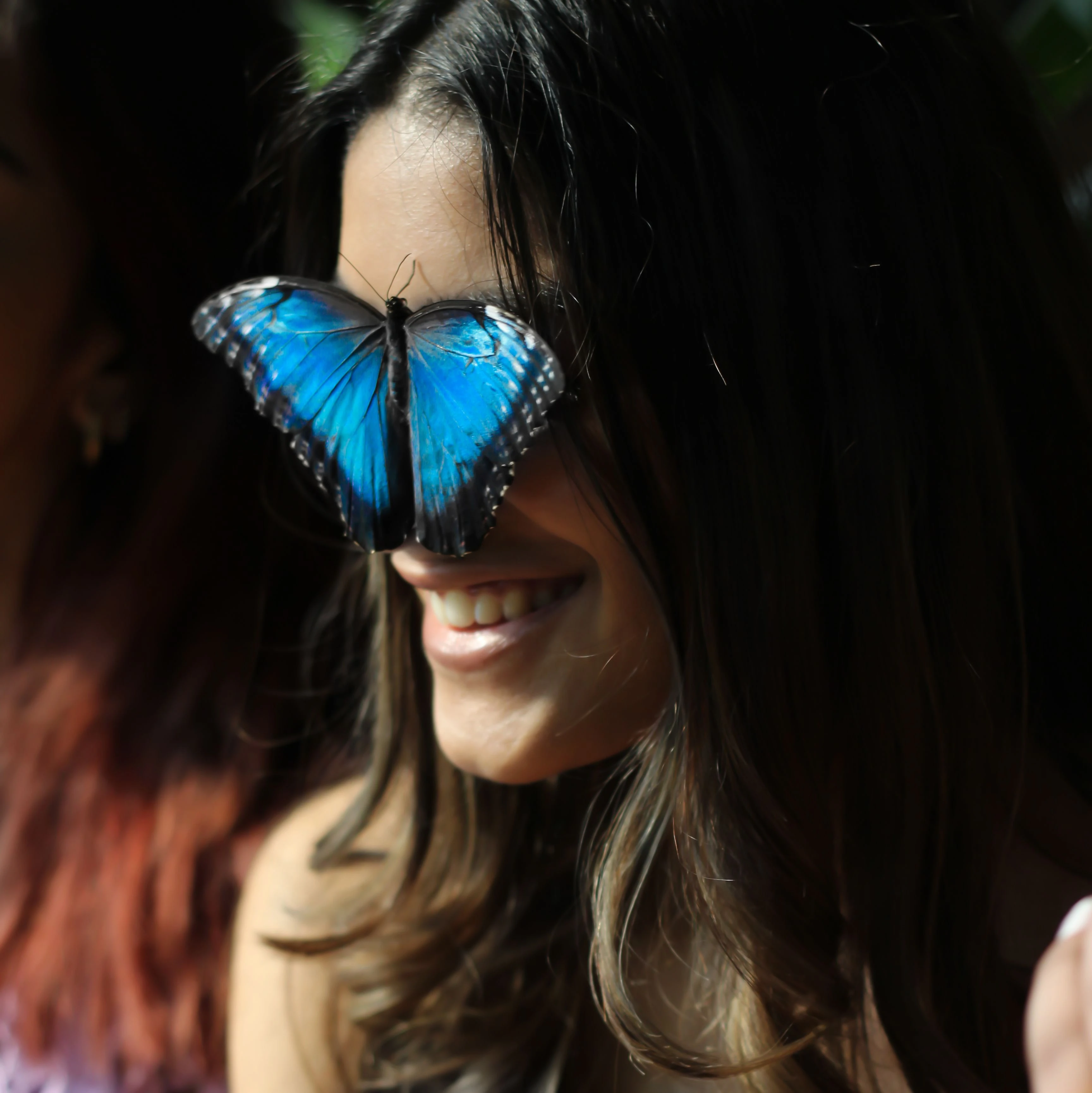Visitor experiencing the butterfly enclosure at Dubai Butterfly Garden